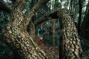 BIB: 
                            <button type="button" onclick="openModal(25392702)" class="btn btn-primary btn-sm float-right btn-popup" data-toggle="modal" data-target=".modal-high-quality">
                        <i class="fas fa-shopping-cart"></i> Add to Cart
                    </button>
                                            <button type="button" onclick="isThisMe(25392702, true)" class="btn btn-success btn-sm float-right btn-popup btn-isme hidden" data-toggle="tooltip" data-placement="bottom" title="นี่คือรูปของคุณใช่ไหม คลิกที่นี่เพื่อเอาเข้าอัลบั้ม">
                        <i class="fas fa-plus"></i> Add to album
                    </button>
                    <button type="button" onclick="isThisMe(25392702, false)" class="btn btn-warning btn-sm float-right btn-popup btn-isnotme hidden">
                        <i class="fas fa-ban"></i> Remove from album
                    </button>